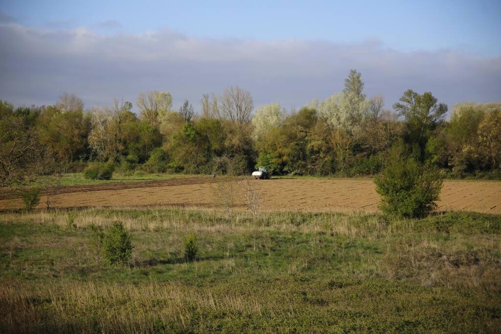 Domaine Villecarla Villedubert Екстер'єр фото