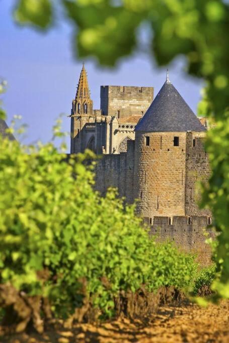 Domaine Villecarla Villedubert Екстер'єр фото